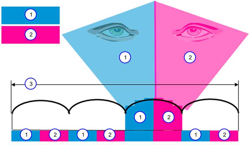 lenticular-printing-process